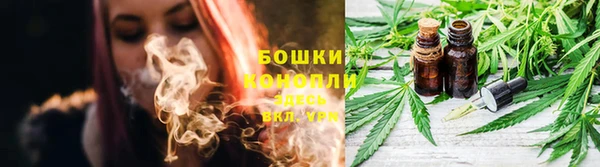 стаф Бугульма