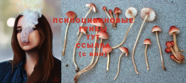 бутик Бородино