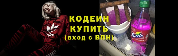 гашик Богородск