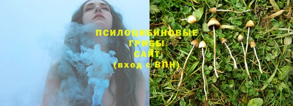 стафф Семикаракорск